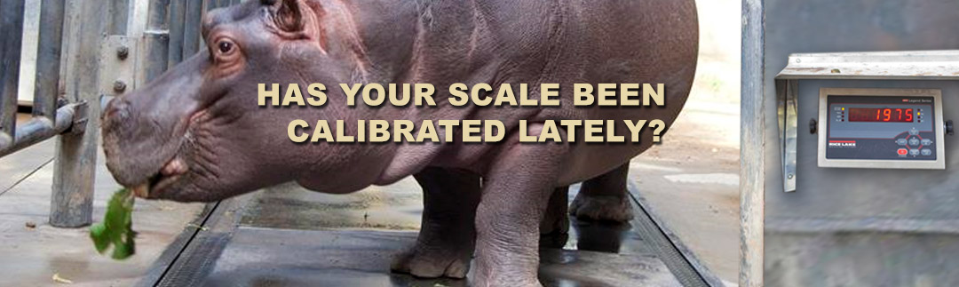 Calibrating your weigh scale