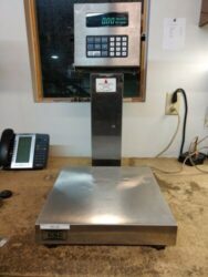 GSE Bench Scale